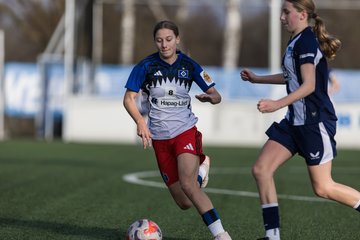 Bild 393 - wBJ Hamburger SV - Hertha BSC : Ergebnis: 2:1